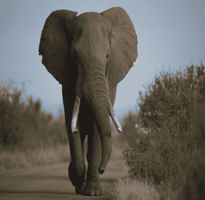 Screenshot from 2024-08-11 13-26-49