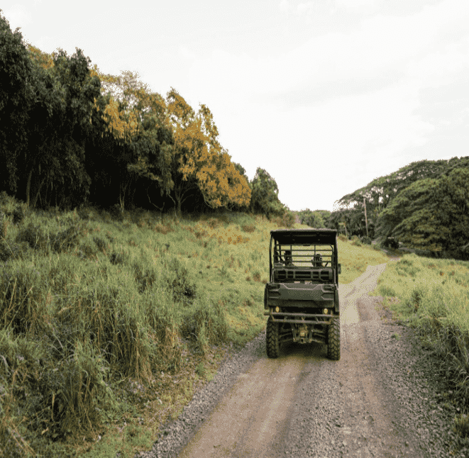 Screenshot from 2024-08-11 15-10-59