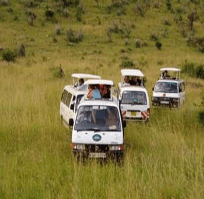 Screenshot from 2025-10-15 11-51-59(1)